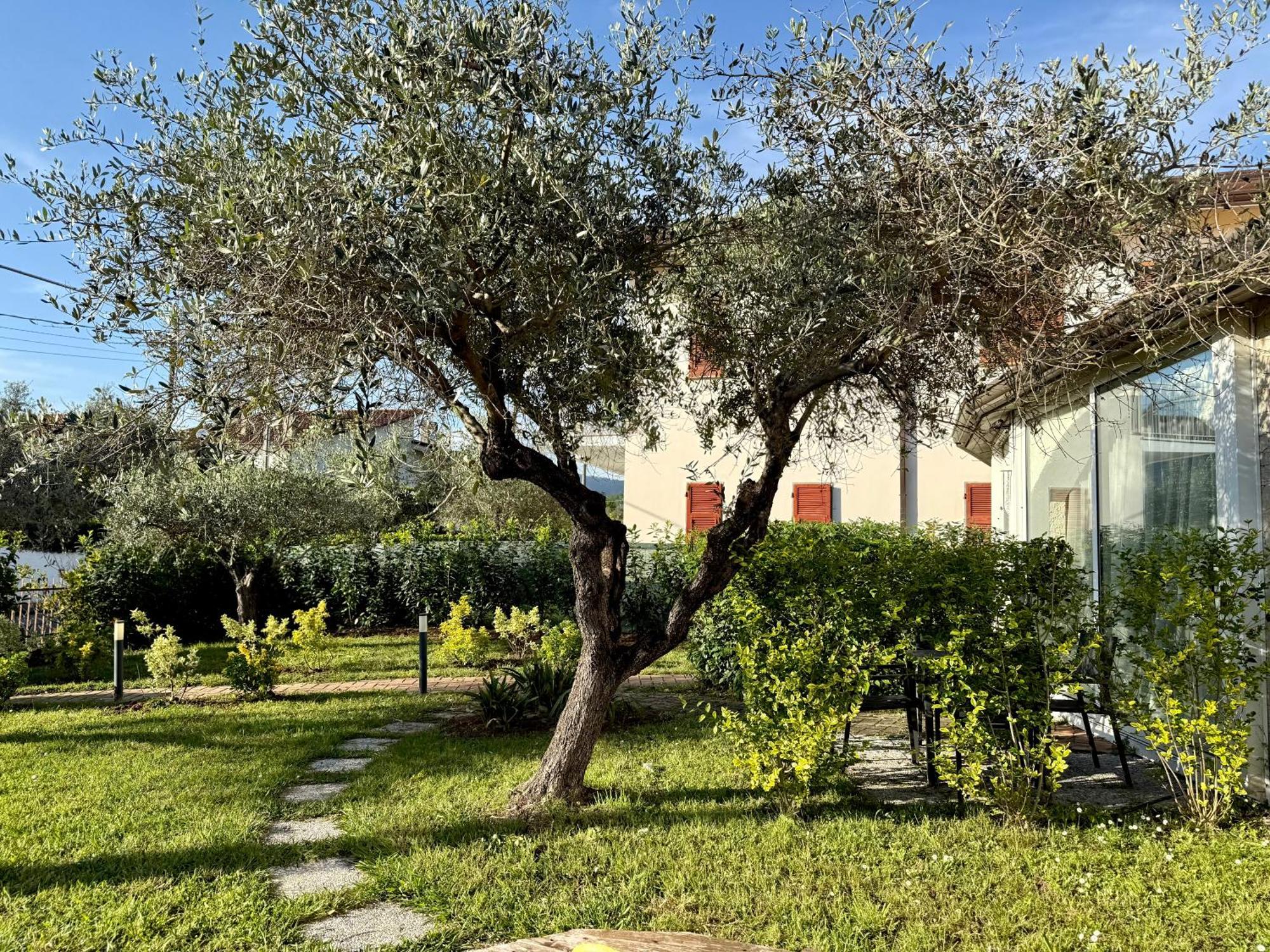 Abitatt Aparthotel Fosdinovo Exterior photo